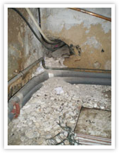 D&ecirc;gats caus&eacute;s par les souris